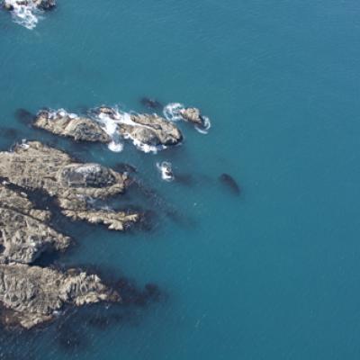 Ouessant Img 0127